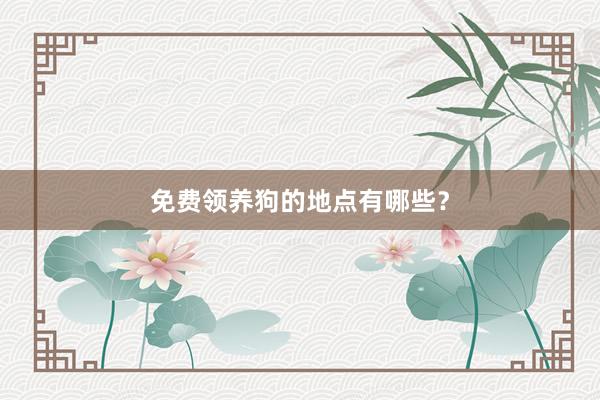 免费领养狗的地点有哪些?