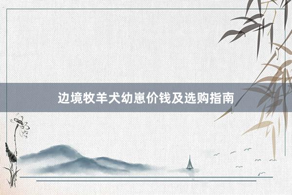边境牧羊犬幼崽价钱及选购指南