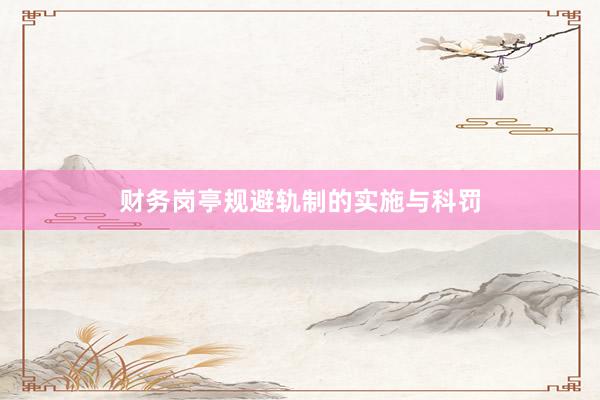财务岗亭规避轨制的实施与科罚