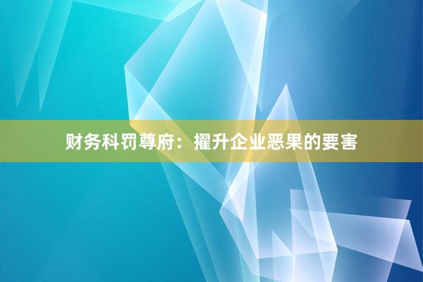 财务科罚尊府：擢升企业恶果的要害